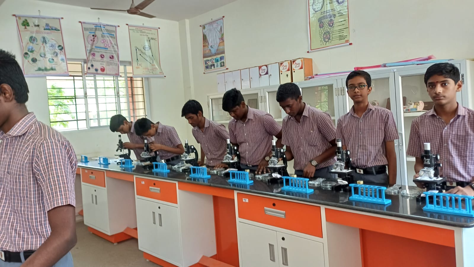 Laboratory Image 6